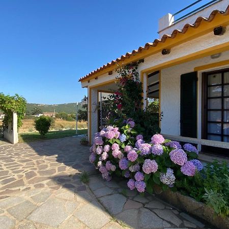 Casa Di Campagna In Gallura ルオゴサント エクステリア 写真