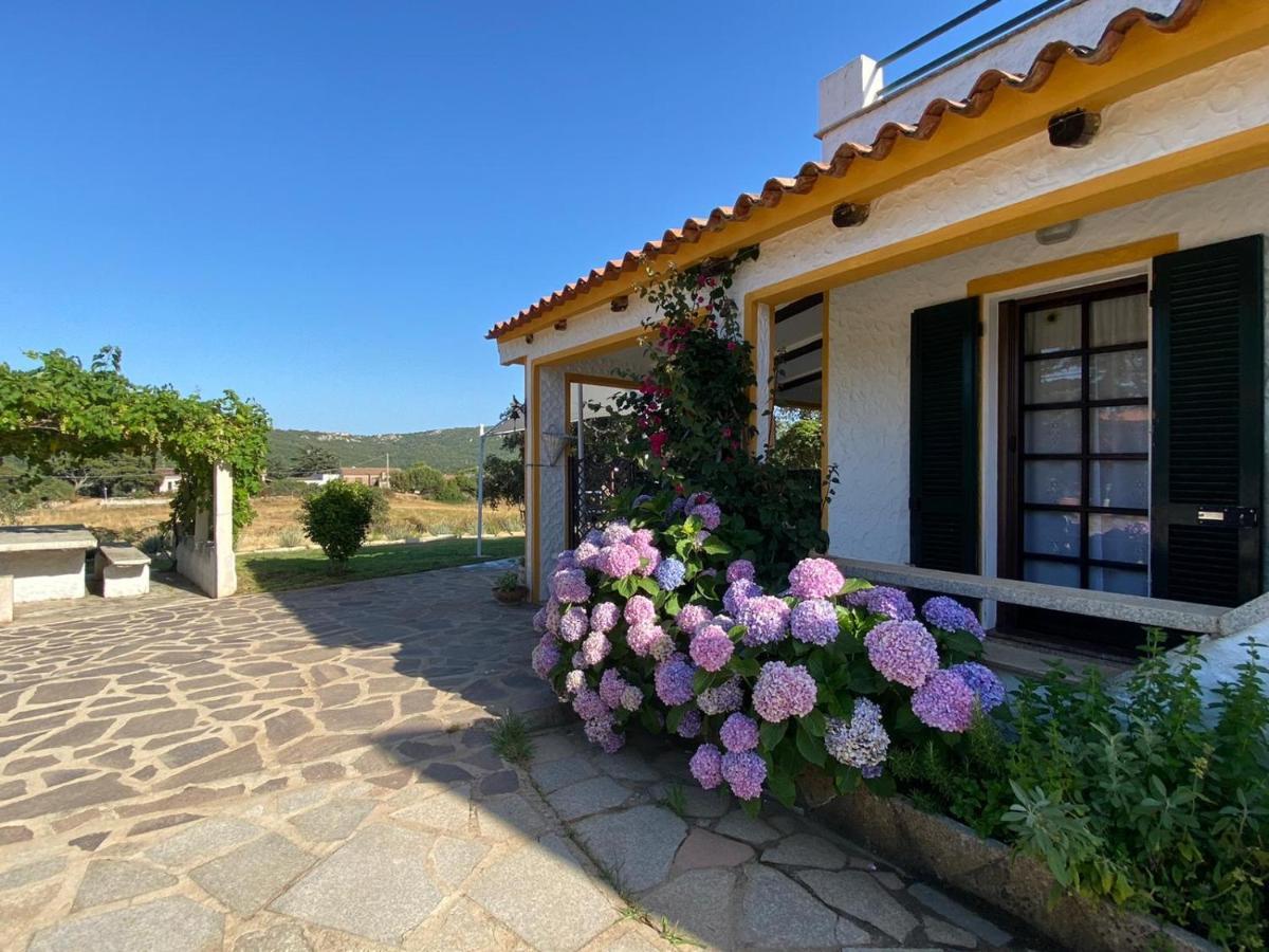 Casa Di Campagna In Gallura ルオゴサント エクステリア 写真